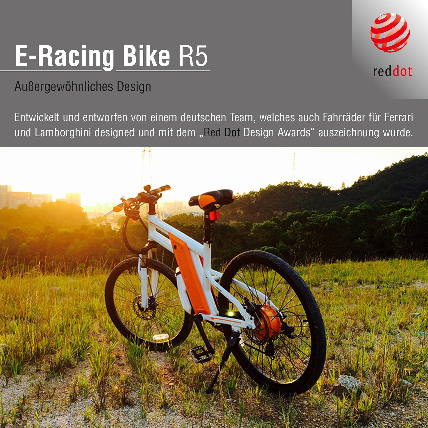 Leicke, SachsenRad E-Racing Bike R5, 240W Motor, 24-Zoll
